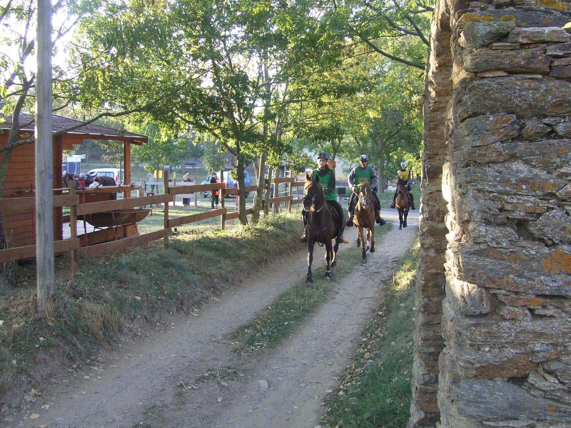 Hotel Corrieu La Llagonne Dış mekan fotoğraf
